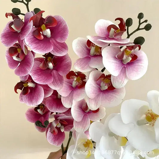 5Pc 3D Orchids: Real Touch Latex Phalaenopsis Display