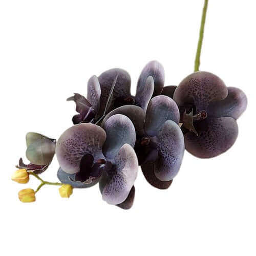 Real-Touch PU-Coated Butterfly Orchid Stem