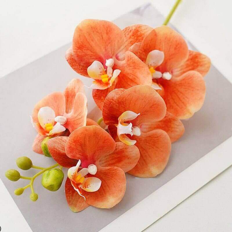 1PC Real-Touch Latex Artificial Butterfly Orchid