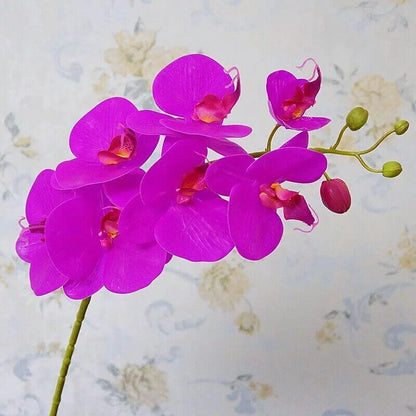 Latex Real-Touch Artificial Butterfly Orchid Fuchsia