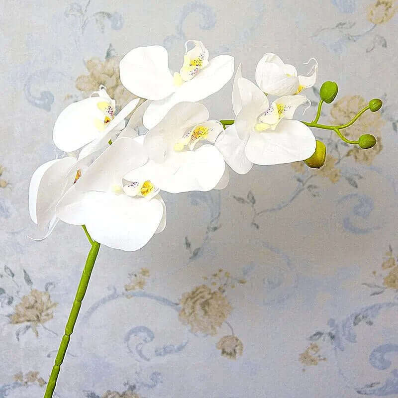 Latex Real-Touch Artificial Butterfly Orchid White