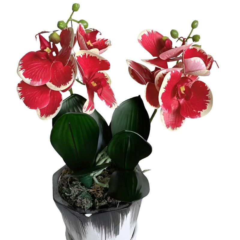 Mini Real-Touch Butterfly Orchid Stem with Leaves