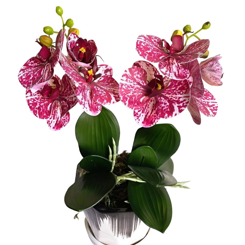 Mini Real-Touch Butterfly Orchid Stem with Leaves