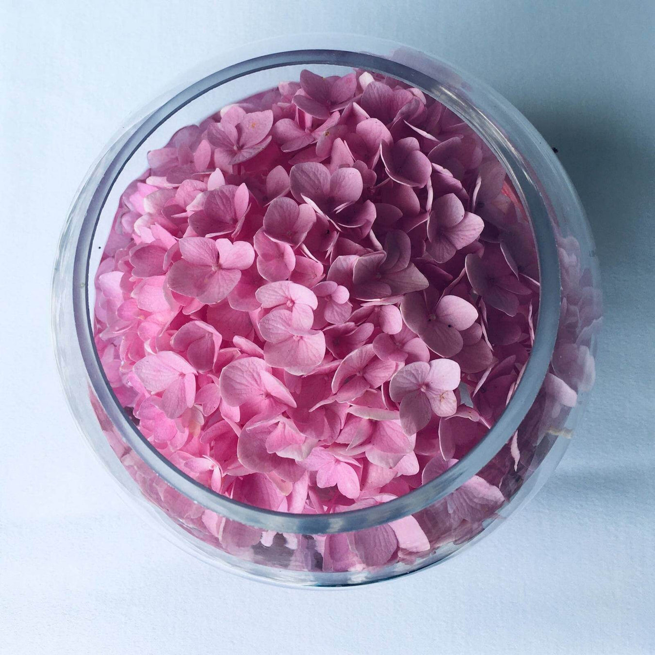 Pink Hydrangea in a bowl