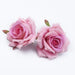 30pcs Silk Rose Heads Wedding Decorative Wall Silk Rose Flower Heads SMR Store