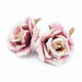 30pcs Silk Rose Heads Wedding Decorative Wall Silk Rose Flower Heads SMR Store