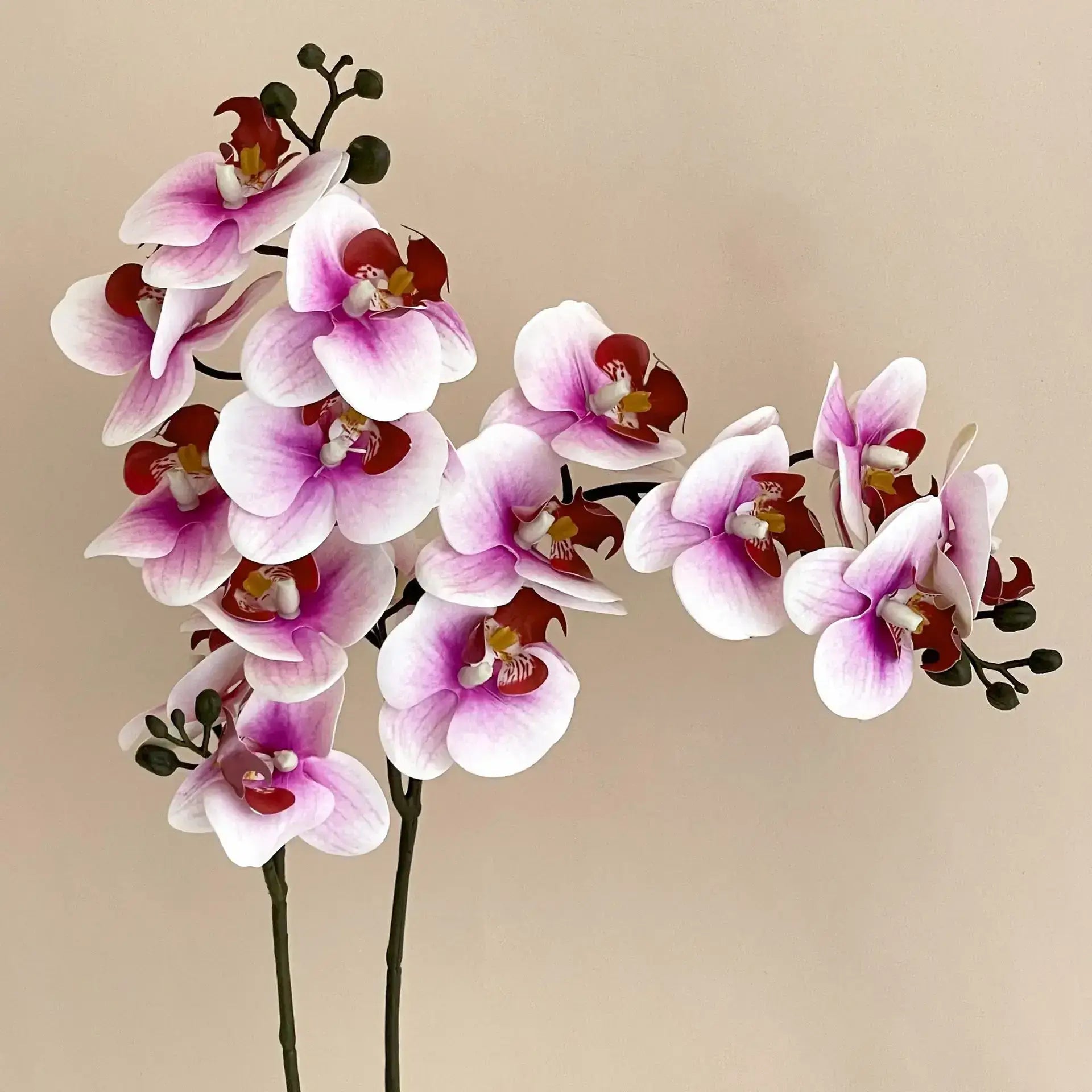 5Pc 3D Orchids: Real Touch Latex Phalaenopsis Light Pink
