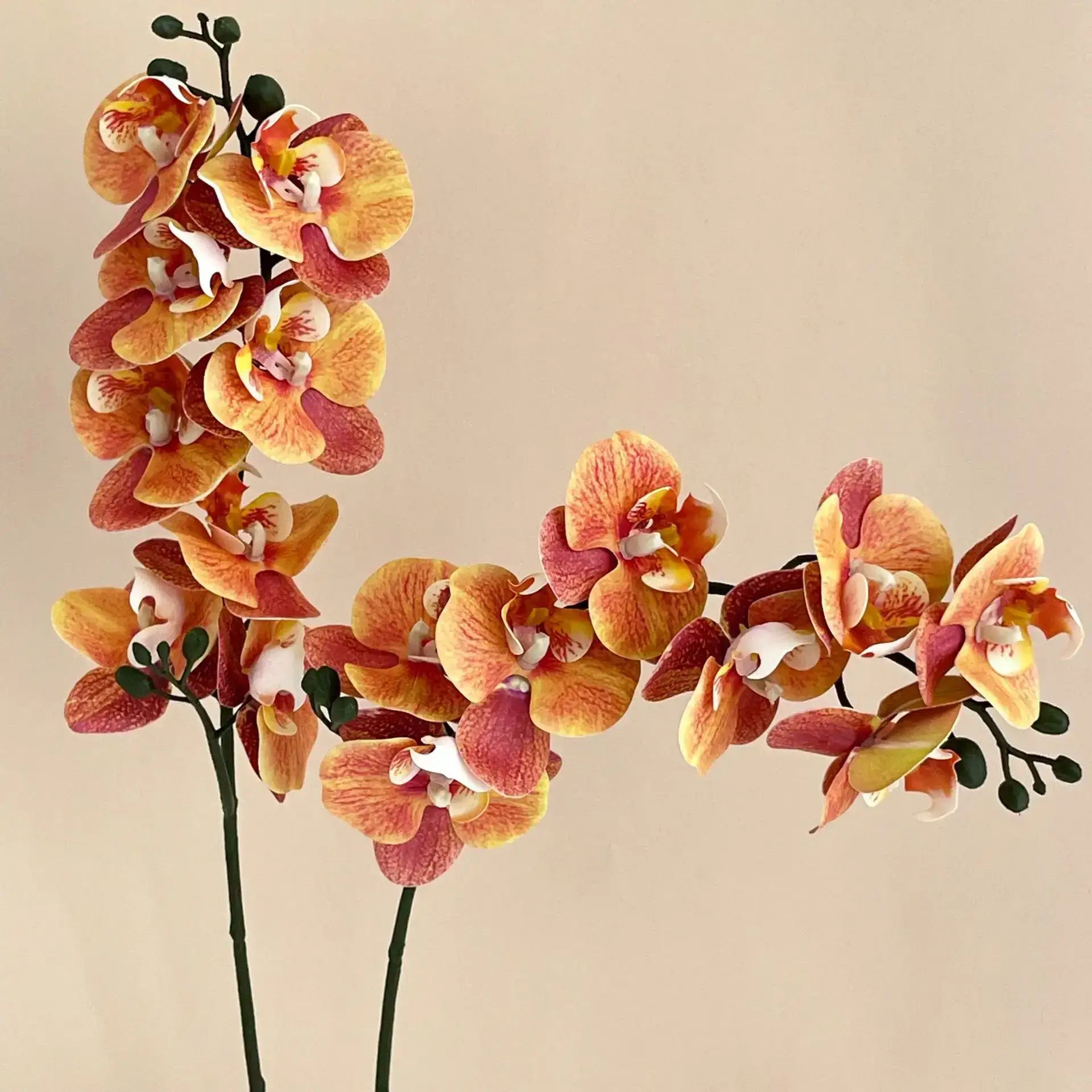 5Pc 3D Orchids: Real Touch Latex Phalaenopsis Orange