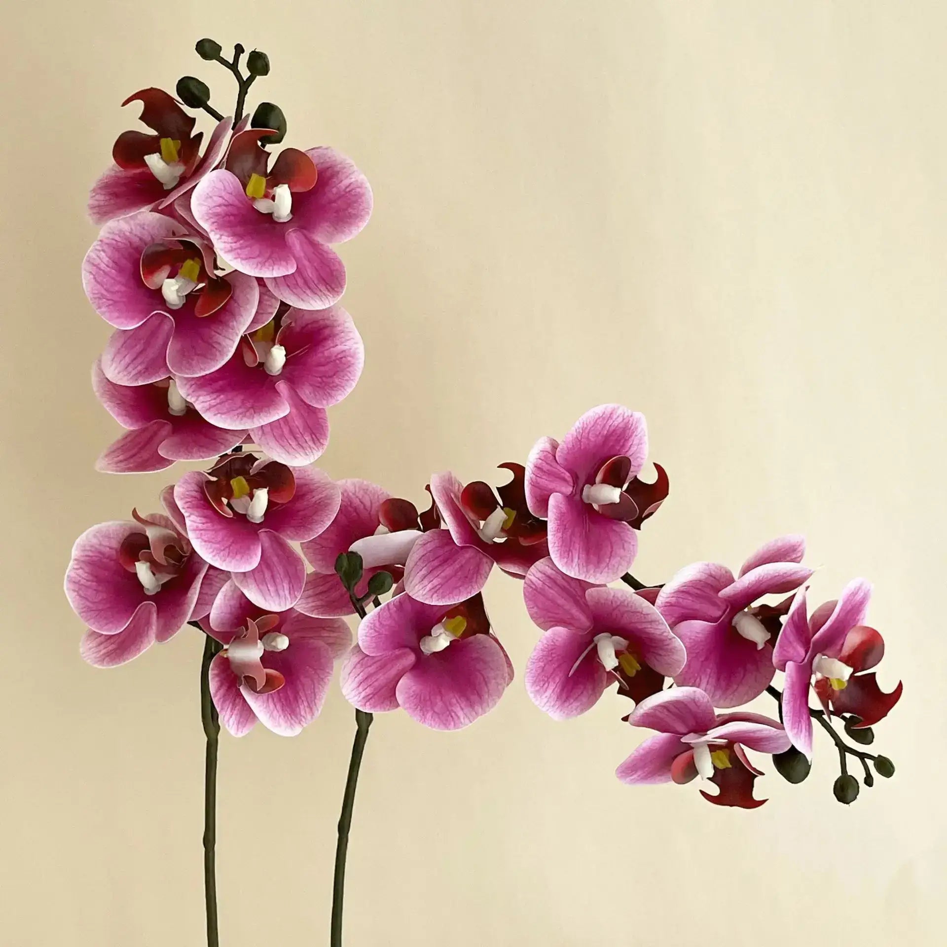 5Pc 3D Orchids: Real Touch Latex Phalaenopsis Rose Red