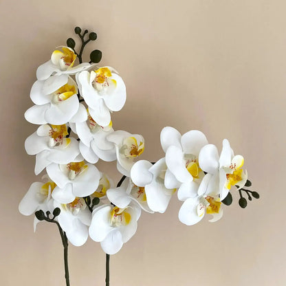 5Pc 3D Orchids: Real Touch Latex Phalaenopsis White