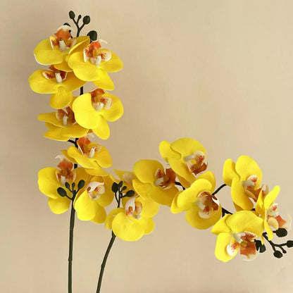 5Pc 3D Orchids: Real Touch Latex Phalaenopsis Yellow