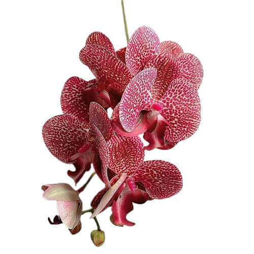 6-Head Real-Touch Orchid Latex Artificial Flowers 2