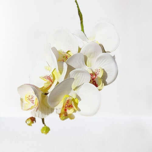 6-Head Real-Touch Orchid Latex Artificial Flowers 8