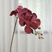 7-Head Orchid Stem Silk Artificial Flower Artificial Flora Artknock