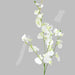 Dancing Peacock Orchid Tall Stem Silk Artificial Flowers Artificial Flora Artknock