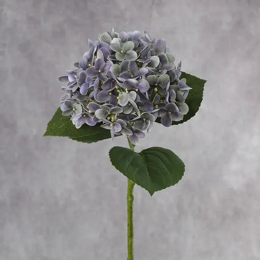 Latex Artificial French Hydrangea Flower With Fruit Real-Touch French Hydrangea Modalyst