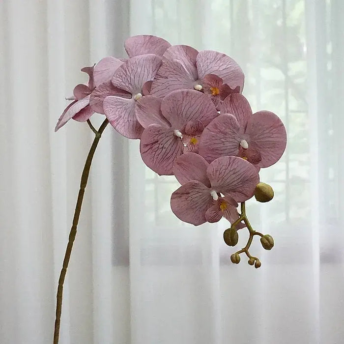 7-Head Orchid Stem Silk Artificial Flower Artificial Flora Artknock