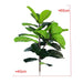 Artificial monstera plants approximate dimensions 65cm height and 40cm width, showcasing realistic leafy greenery.