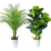 Artificial monstera plants alongside a lush palm, enhancing home decor with realistic tropical greenery.