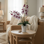 Faux Potted orchid with white and wine colored petals on a neutral white background