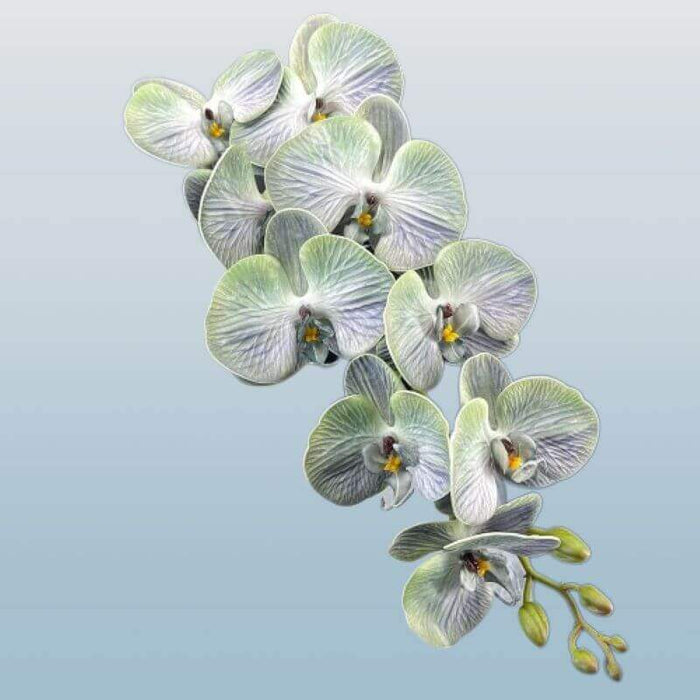 Real-Touch 9-Head Phalaenopsis Orchid Stem Artificial Butterfly Orchid AliExpress