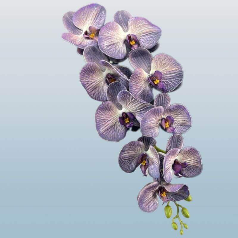 Real-Touch 9-Head Phalaenopsis Orchid Stem