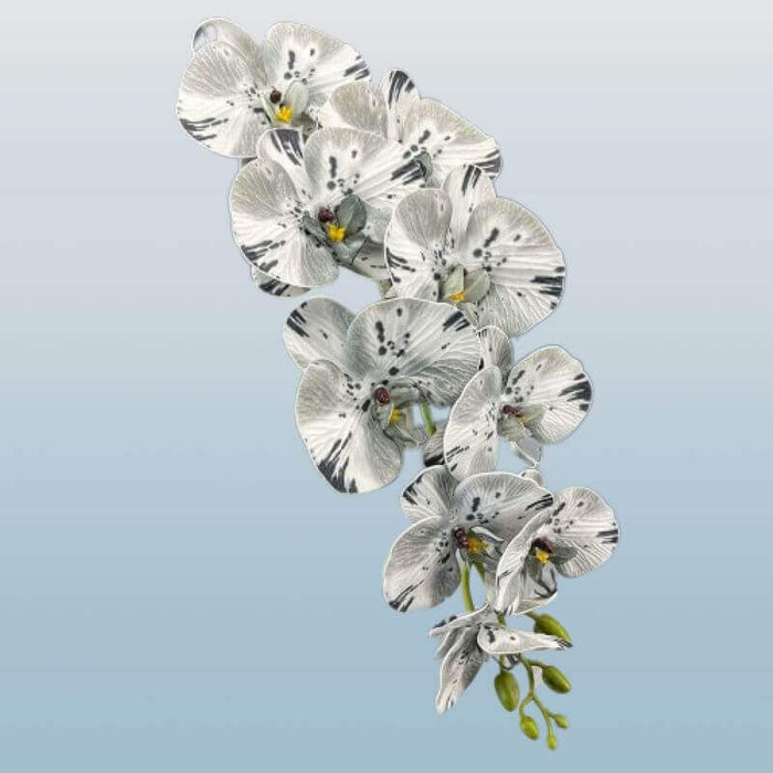 Real-Touch 9-Head Phalaenopsis Orchid Stem Artificial Butterfly Orchid AliExpress