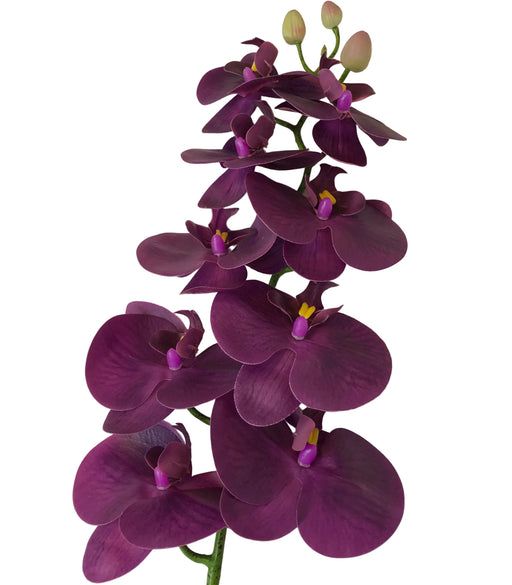 Purple artificial orchids on a textured white background