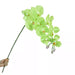 Artificial Moth Butterfly Orchid Real Touch Flowers in light green, held by hand, perfect for home decor.