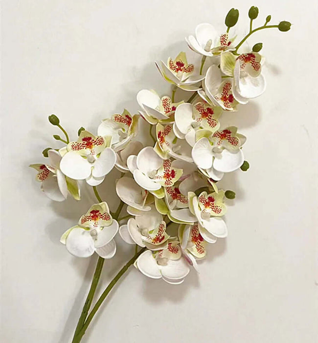 Latex Butterfly Orchid stem showcasing 21 realistic white flower heads with red accents for home decor.