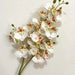 Latex Butterfly Orchid stem showcasing 21 realistic white flower heads with red accents for home decor.