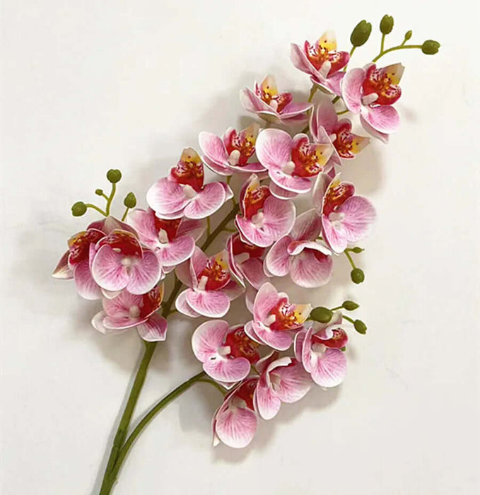 Latex Butterfly Orchid Stem with 21 realistic pink flower heads, perfect for home decor and floral arrangements.