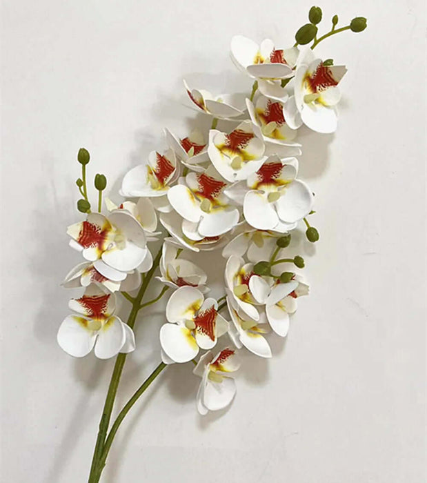 One Latex Butterfly Orchid Stem 21 Heads Artificial Phalaenopsis Orchid Artificial Flora Modalyst
