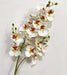 One Latex Butterfly Orchid Stem 21 Heads Artificial Phalaenopsis Orchid Artificial Flora Modalyst