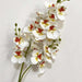 One Latex Butterfly Orchid Stem 21 Heads Artificial Phalaenopsis Orchid Artificial Flora Modalyst