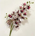 Latex Butterfly Orchid Stem with 21 realistic flower heads in white and pink, ideal for home decor arrangements.