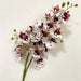 Latex Butterfly Orchid Stem with 21 realistic flower heads in white and pink, ideal for home decor arrangements.