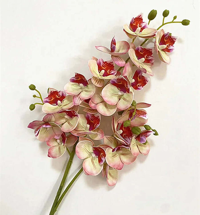 Latex Butterfly Orchid Stem with 21 realistic flower heads in pink and cream colors.
