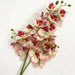 Latex Butterfly Orchid Stem with 21 realistic flower heads in pink and cream colors.
