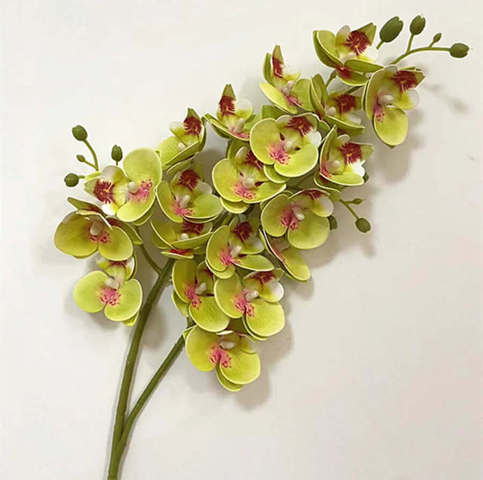 Latex butterfly orchid stem featuring 21 realistic flower heads, perfect for home decor arrangements.