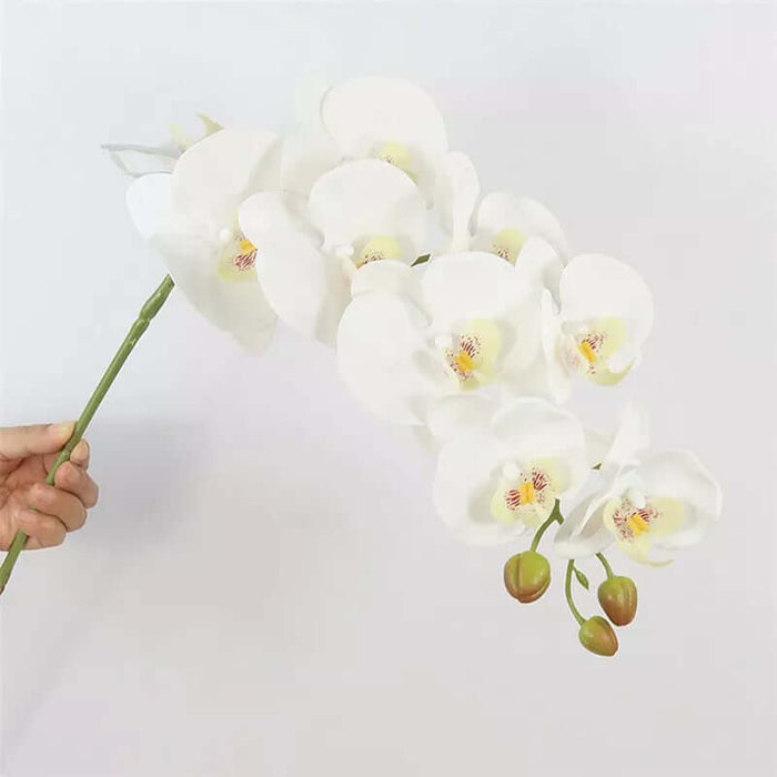 Artificial Moth Butterfly Orchid Real Touch Flowers Artificial Flora Modalyst