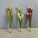 Three realistic simulation nepenthes artificial plants in green and red, perfect for home decor or floral arrangements.