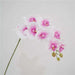 Artificial Moth Butterfly Orchid Real Touch Flowers Artificial Flora Modalyst