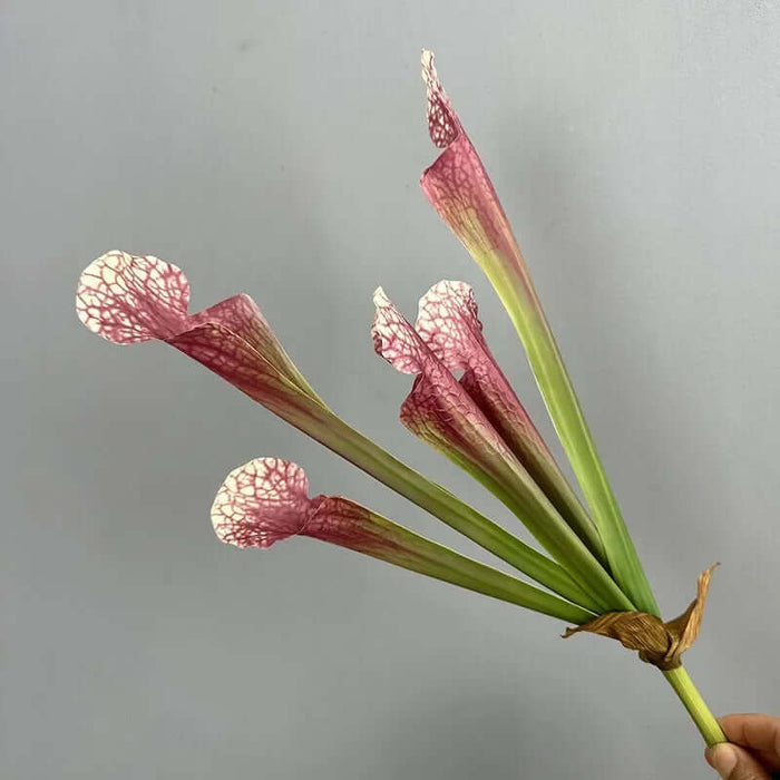 Simulation nepenthes artificial plant with vibrant pink and green stems, perfect for home decor or floral arrangements.