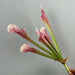 Simulation nepenthes artificial plant with vibrant pink and green stems, perfect for home decor or floral arrangements.