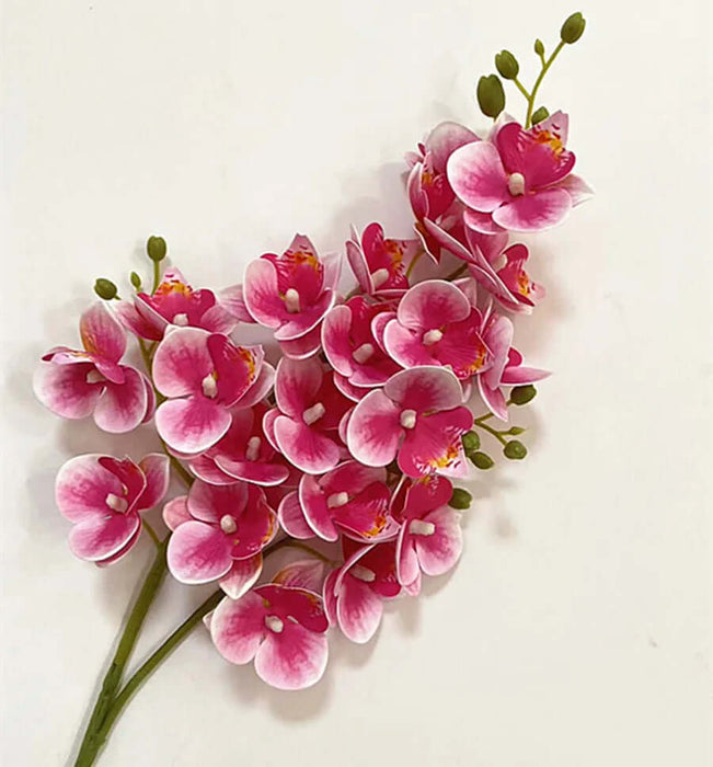 One Latex Butterfly Orchid Stem 21 Heads Artificial Phalaenopsis Orchid Artificial Flora Modalyst