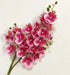 One Latex Butterfly Orchid Stem 21 Heads Artificial Phalaenopsis Orchid Artificial Flora Modalyst