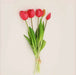 Soft silicone artificial tulip bouquet with vibrant red flowers and green leaves, perfect for home decor and events.