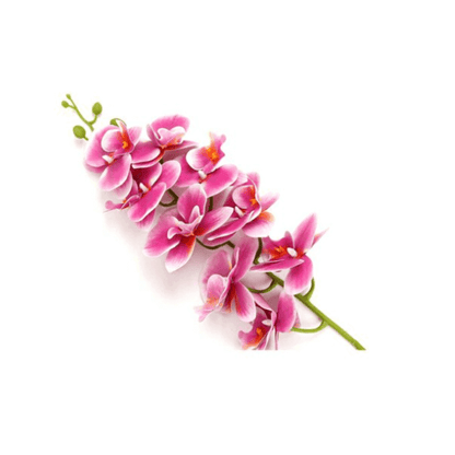 Real-Touch Silicone Artificial Butterfly Orchid 18