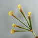 Realistic simulation nepenthes artificial plant with yellow and white flowers, perfect for home or office decor